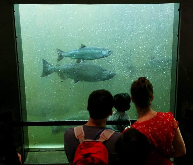 Only have a morning in Seattle? Explore the Ballard neighborhood!